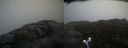 ./images/calvert/buxton2/20210430/buxton220210430_092503M.jpg