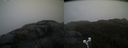 ./images/calvert/buxton2/20210430/buxton220210430_094503M.jpg