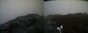./images/calvert/buxton2/20210430/buxton220210430_095003M.jpg
