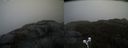 ./images/calvert/buxton2/20210430/buxton220210430_095503M.jpg