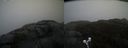 ./images/calvert/buxton2/20210430/buxton220210430_100003M.jpg