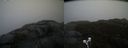 ./images/calvert/buxton2/20210430/buxton220210430_101503M.jpg