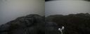 ./images/calvert/buxton2/20210430/buxton220210430_102003M.jpg