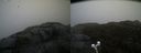 ./images/calvert/buxton2/20210430/buxton220210430_102503M.jpg