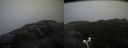 ./images/calvert/buxton2/20210430/buxton220210430_104004M.jpg
