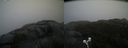 ./images/calvert/buxton2/20210430/buxton220210430_111004M.jpg