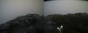./images/calvert/buxton2/20210430/buxton220210430_112003M.jpg