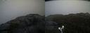 ./images/calvert/buxton2/20210430/buxton220210430_112503M.jpg