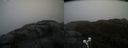 ./images/calvert/buxton2/20210430/buxton220210430_113503M.jpg