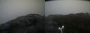 ./images/calvert/buxton2/20210430/buxton220210430_114003M.jpg
