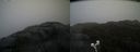 ./images/calvert/buxton2/20210430/buxton220210430_114503M.jpg