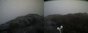 ./images/calvert/buxton2/20210430/buxton220210430_115503M.jpg