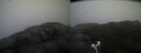 ./images/calvert/buxton2/20210430/buxton220210430_121003M.jpg