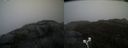 ./images/calvert/buxton2/20210430/buxton220210430_121503M.jpg