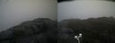 ./images/calvert/buxton2/20210430/buxton220210430_123503M.jpg