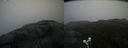 ./images/calvert/buxton2/20210430/buxton220210430_131504M.jpg
