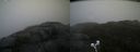 ./images/calvert/buxton2/20210430/buxton220210430_135003M.jpg