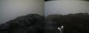 ./images/calvert/buxton2/20210430/buxton220210430_140003M.jpg
