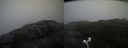 ./images/calvert/buxton2/20210430/buxton220210430_142003M.jpg