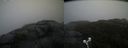 ./images/calvert/buxton2/20210430/buxton220210430_145503M.jpg