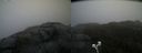./images/calvert/buxton2/20210430/buxton220210430_153504M.jpg