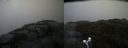 ./images/calvert/buxton2/20210430/buxton220210430_155503M.jpg