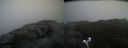 ./images/calvert/buxton2/20210430/buxton220210430_160003M.jpg