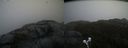 ./images/calvert/buxton2/20210430/buxton220210430_164503M.jpg