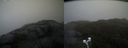 ./images/calvert/buxton2/20210430/buxton220210430_165003M.jpg