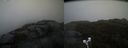 ./images/calvert/buxton2/20210430/buxton220210430_170503M.jpg