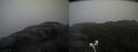 ./images/calvert/buxton2/20210430/buxton220210430_172503M.jpg