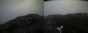 ./images/calvert/buxton2/20210430/buxton220210430_173503M.jpg