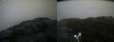 ./images/calvert/buxton2/20210430/buxton220210430_174004M.jpg