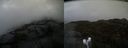 ./images/calvert/buxton2/20210430/buxton220210430_175004M.jpg