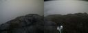 ./images/calvert/buxton2/20210430/buxton220210430_180004M.jpg