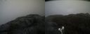 ./images/calvert/buxton2/20210430/buxton220210430_184503M.jpg