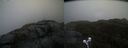 ./images/calvert/buxton2/20210430/buxton220210430_191503M.jpg
