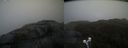 ./images/calvert/buxton2/20210430/buxton220210430_192003M.jpg