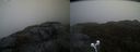 ./images/calvert/buxton2/20210430/buxton220210430_202003M.jpg