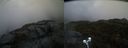 ./images/calvert/buxton2/20210430/buxton220210430_202503M.jpg