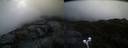 ./images/calvert/buxton2/20210430/buxton220210430_210503M.jpg