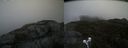 ./images/calvert/buxton2/20210501/buxton220210501_115003M.jpg