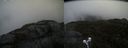 ./images/calvert/buxton2/20210501/buxton220210501_120503M.jpg