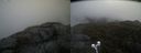 ./images/calvert/buxton2/20210501/buxton220210501_121003M.jpg