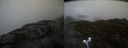 ./images/calvert/buxton2/20210501/buxton220210501_122003M.jpg