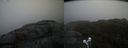 ./images/calvert/buxton2/20210501/buxton220210501_122503M.jpg