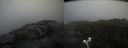 ./images/calvert/buxton2/20210501/buxton220210501_130503M.jpg