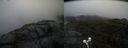 ./images/calvert/buxton2/20210501/buxton220210501_131503M.jpg