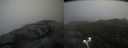 ./images/calvert/buxton2/20210501/buxton220210501_141503M.jpg