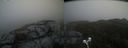 ./images/calvert/buxton2/20210501/buxton220210501_160503M.jpg